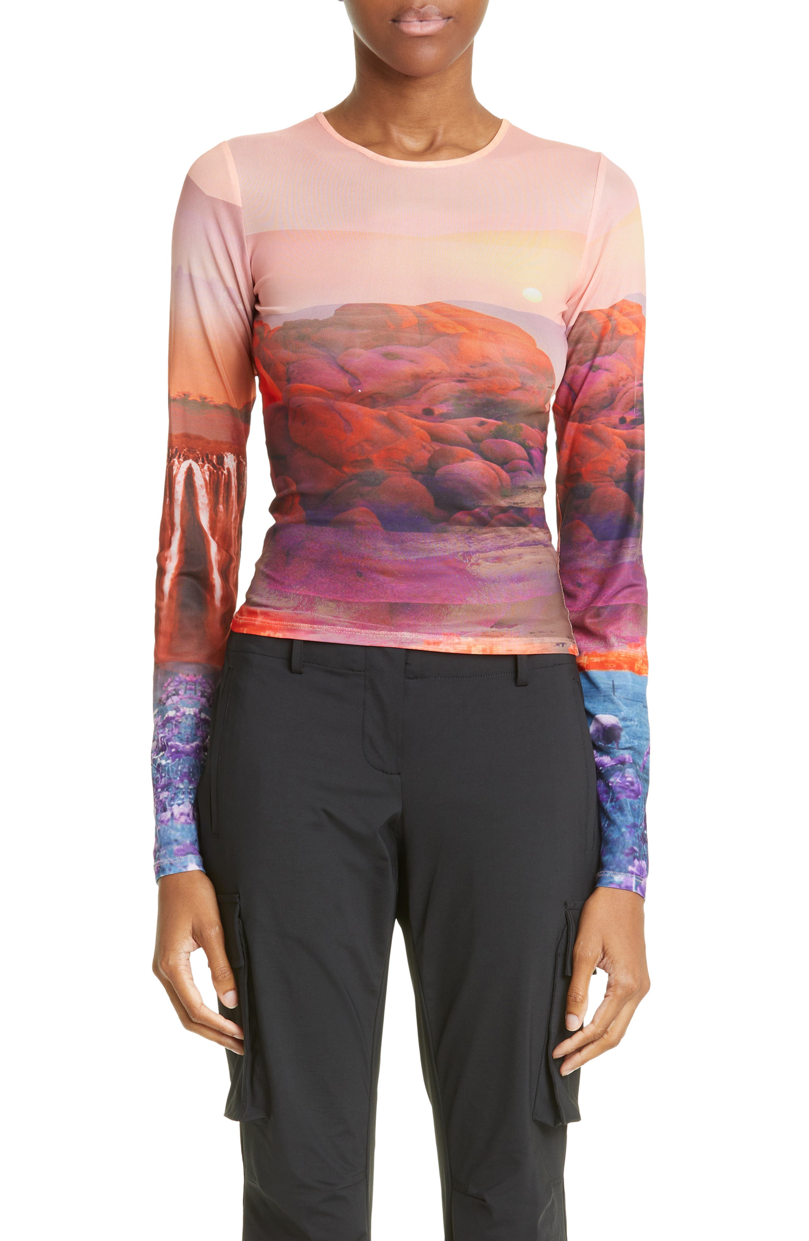 Miaou Oasis Print Long Sleeve Mesh Top Nordstrom