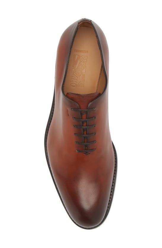 Shop Ferragamo Angiolo Oxford In Cognac New Biscotto