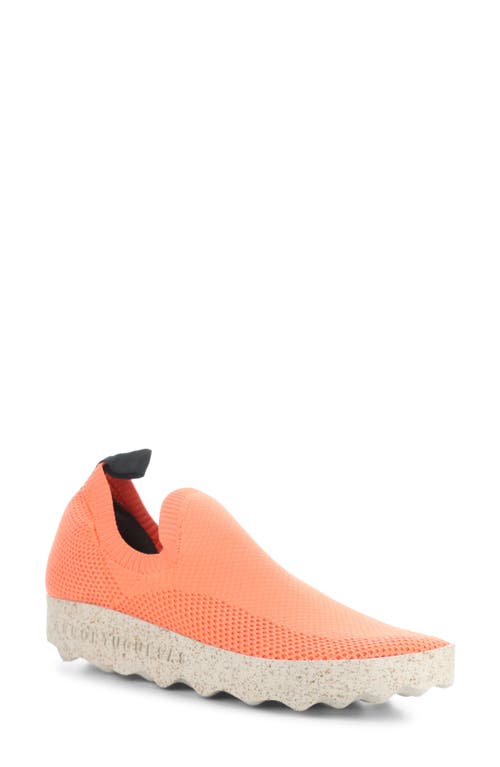 Clip Slip-On Sneaker in Coral Recycled Knit