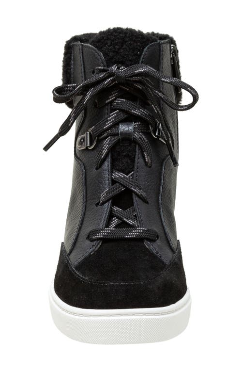 Shop Linea Paolo Arden Wedge Sneaker In Black