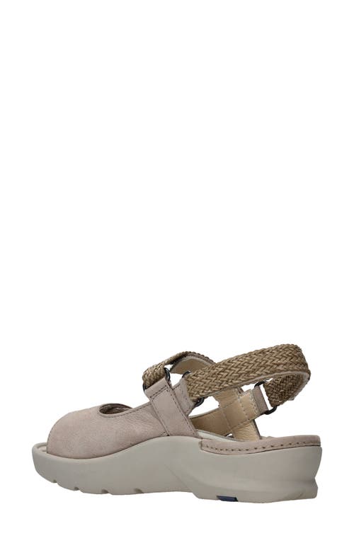 Shop Wolky Lisse Slingback Sandal In Safari Nubuck