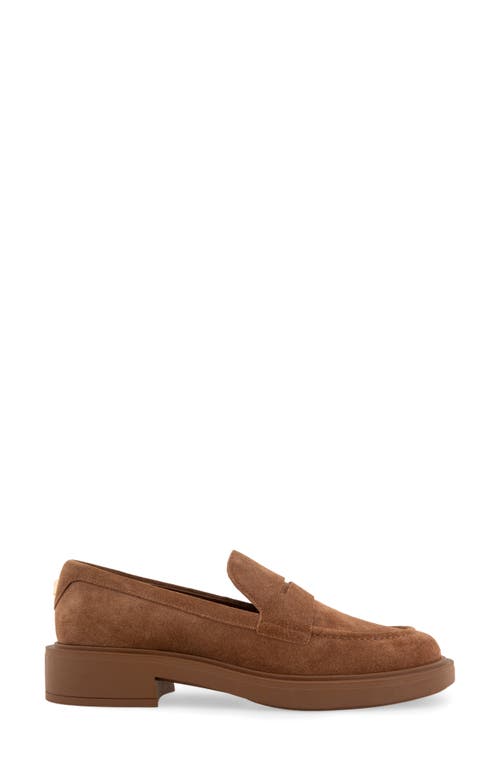 Shop Aerosoles Gelso Loafer In Tobacco Suede