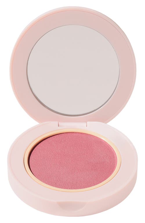 Wander Beauty Blush All Day Hydrating Powder Blush In Berry Busy