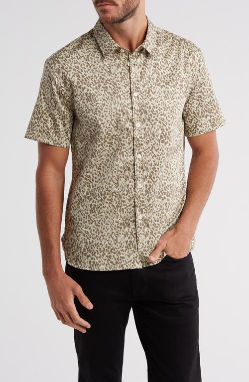 John Varvatos Sean Leopard Print Short Sleeve Cotton Button-Up Shirt Hay at Nordstrom,