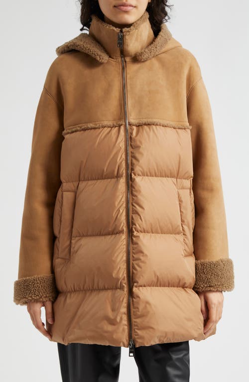 Herno Curly Suede Quilted Down & Genuine Shearling Jacket in Camel 