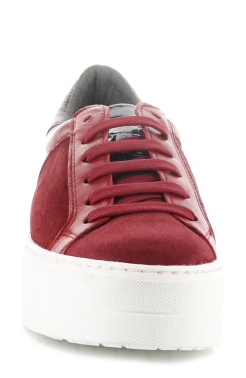 Bos. & Co. Maude Platform Sneaker In Sangria/rojo Sangre Suede