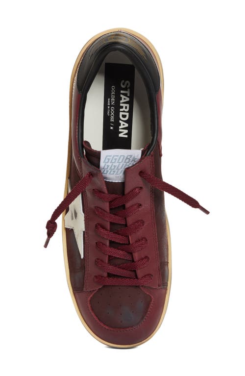 Golden Goose Stardan Sneaker In Brown/white/black