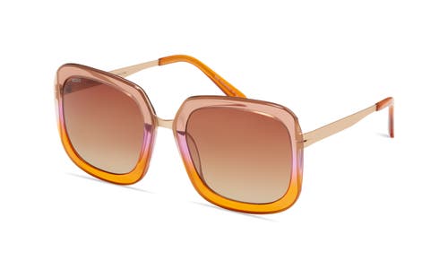 Modo 467 Sunglasses In Orange Taupe