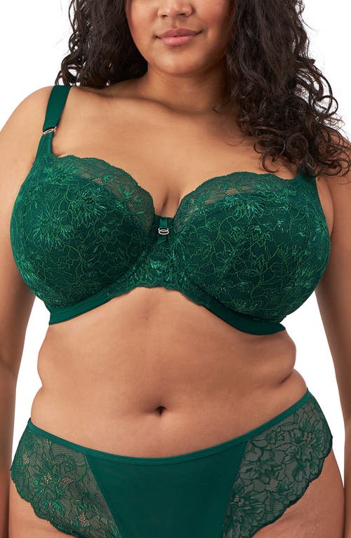 ELOMI ELOMI BRIANNA UNDERWIRE PADDED HALF CUP BRA 