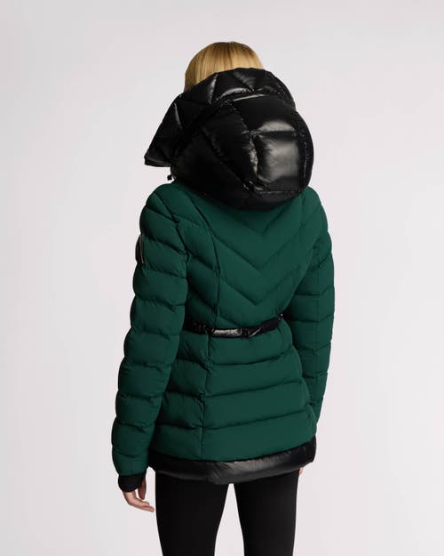 Alpenhaus Everlong Lightweight Herringbone Quilted Puffer With Lustre Detailing In Forest Green