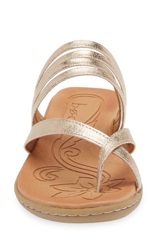 B O C Alisha Toe Loop Sandal In Champagne Metallic