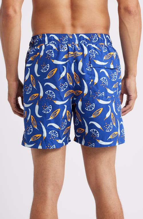 Tom & Teddy Chilli Swim Trunks In Blue & Orange