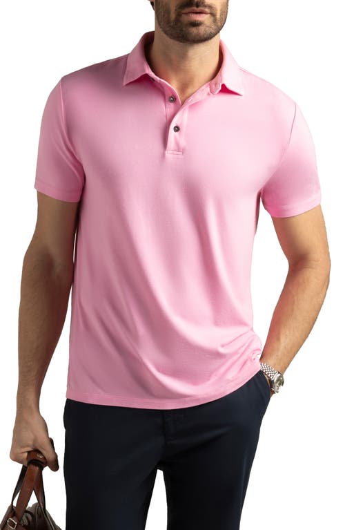 Pinehurst Classic Fit Cotton Blend Golf Polo in Hibiscus