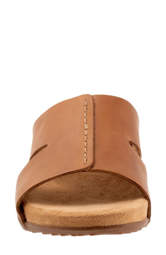 Softwalk Beverly Sandal In Luggage