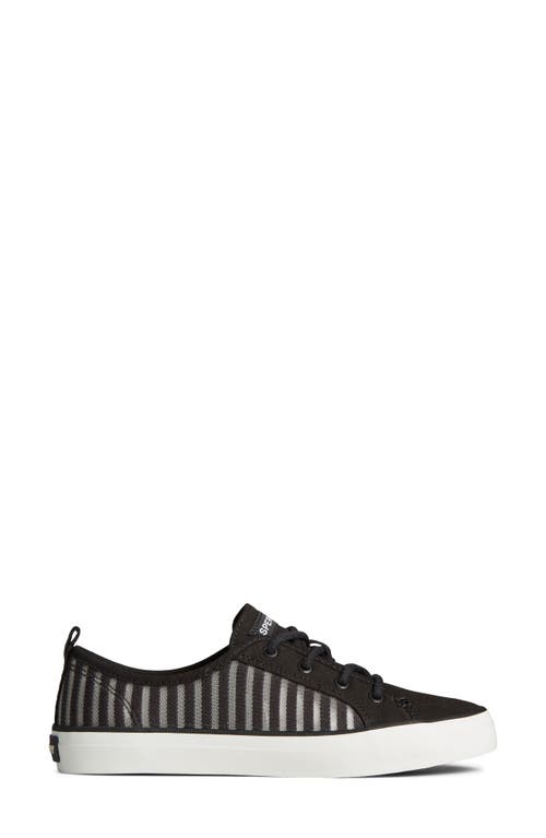 Shop Sperry Crest Vibe Pack 4 Sneaker In Black