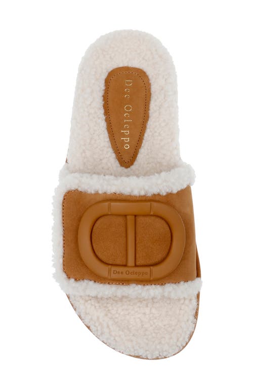 Shop Dee Ocleppo Lima Genuine Shearling Platform Sandal In Biscotti