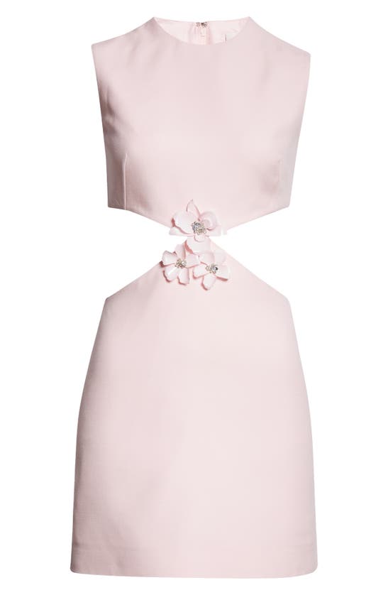 Shop Valentino Garavani 3d Flower Cutout Virgin Wool & Silk Dress In Taffy