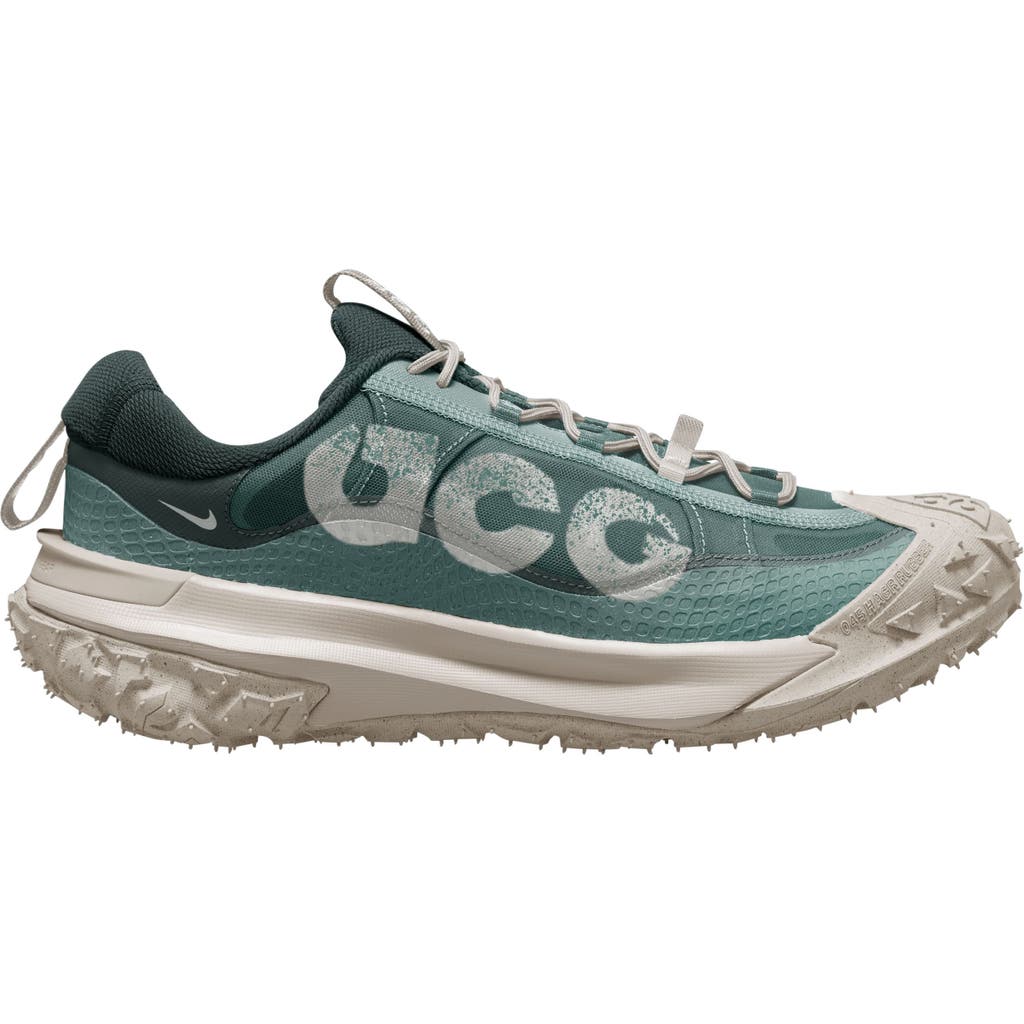 Nike Acg Mountain Fly 2 Low Trail Shoe In Bicoastal/orewood Brown