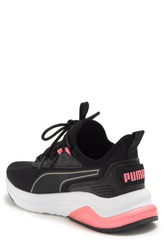 Shop Puma Amplifier Sneaker In  Black-passionfruit-white