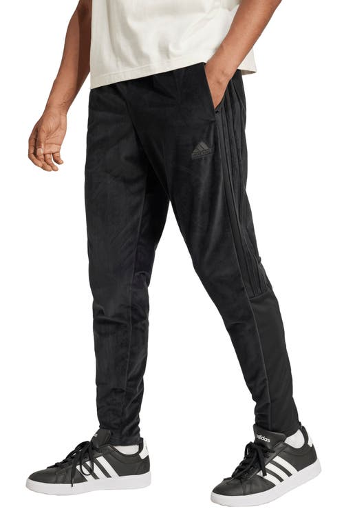 Shop Adidas Sportswear House Of Tiro Recycled Polyester Velour Track Pants In Black