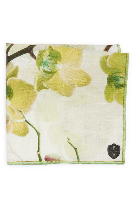 Shop Clifton Wilson Floral Linen Pocket Square In Olive