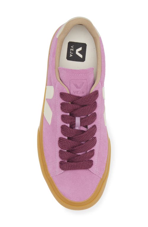 Shop Veja Campo Sneaker In Mulberry/pierre