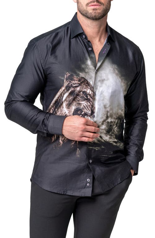 Maceoo Fibonacci Lioness Roar Cotton Button-Up Shirt Black at Nordstrom,