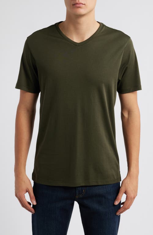 Robert Barakett Georgia Regular Fit V-Neck T-Shirt in Olive 