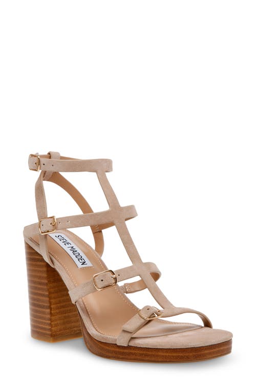 Steve Madden Daelene Ankle Strap Sandal In Sand Suede