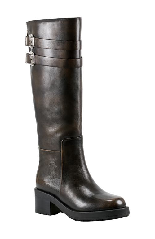 Shop Marc Fisher Ltd Dariya Knee High Riding Boot In Dark Brown