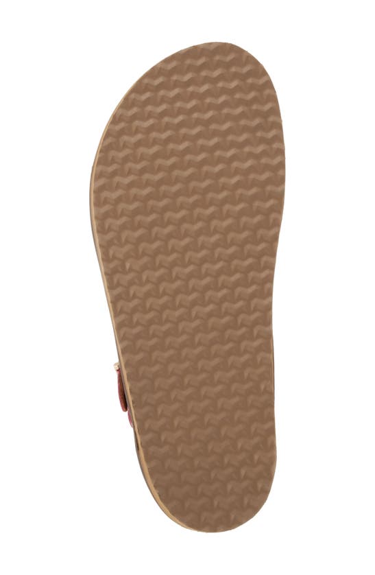 Shop Softwalk ® Upland Ankle Strap Sandal In Fuchsia