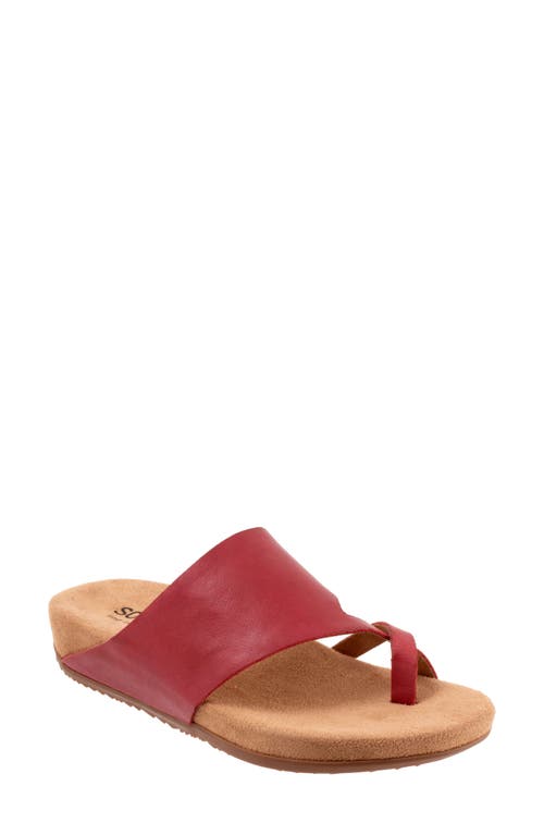 SoftWalk Blaine Slide Sandal in Dark Red at Nordstrom, Size 8