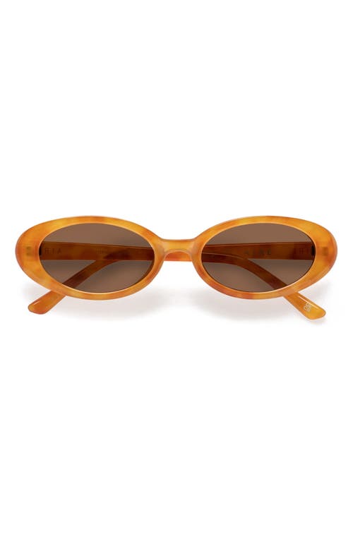 Fornax 53mm Oval Sunglasses in Vintage Tort