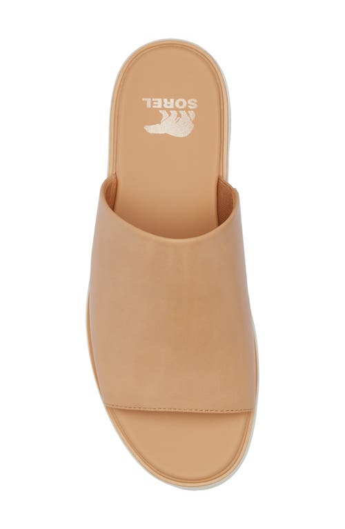 Sorel Dayspring Platform Slide Sandal In Honest Beige/chalk