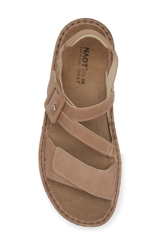 Shop Naot Castelo Sandal In Khaki Beige Leather