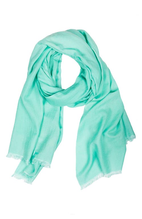 Saachi Cashmere Silk Eyelash Fringe Scarf In Mint