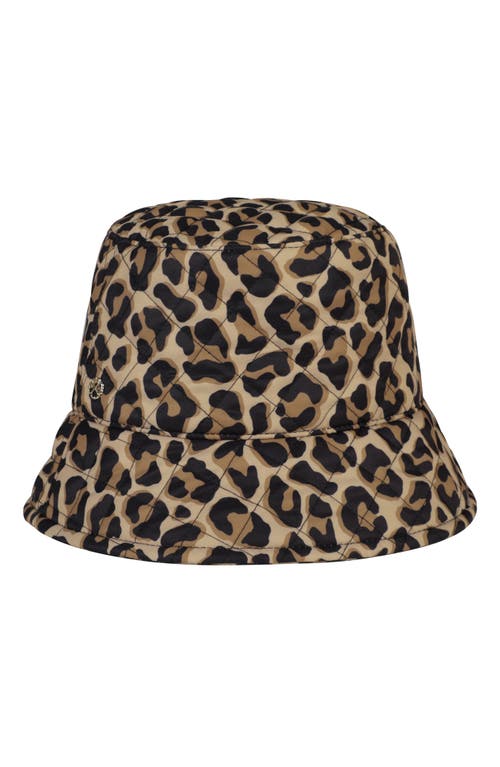 Kate Spade New York Animal Print Bucket Hat in Roasted Cashew at Nordstrom