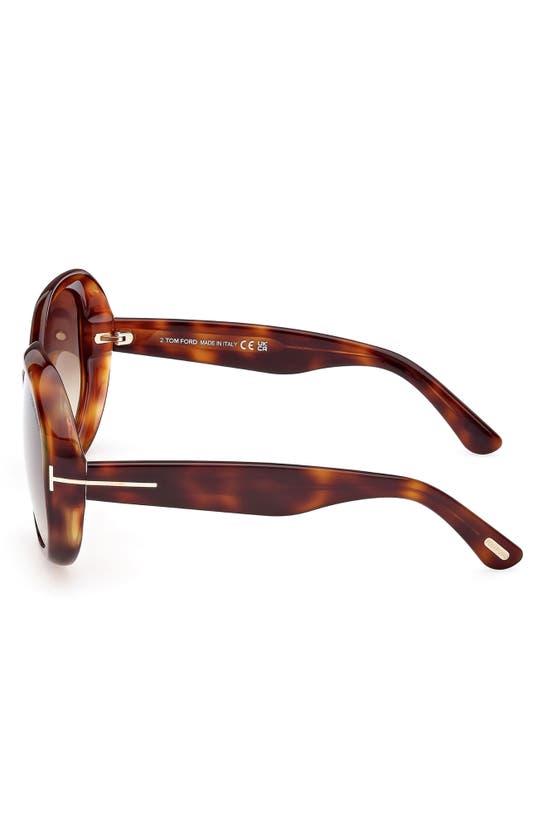 Shop Tom Ford Georgia-02 62mm Gradient Oversize Round Sunglasses In Dark Havana / Gradient Smoke