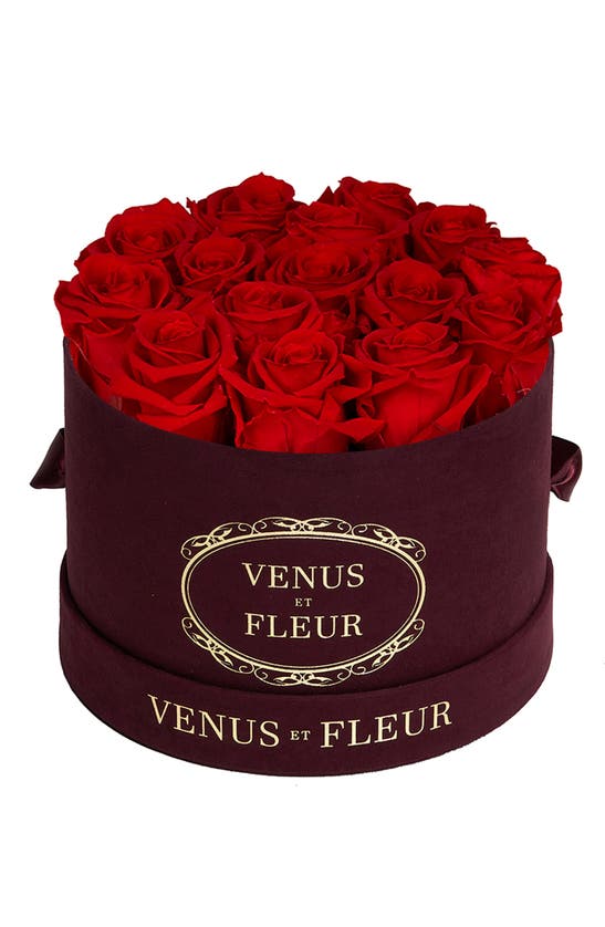 Venus Et Fleur Classic Small Round Eternity Roses In Red ModeSens