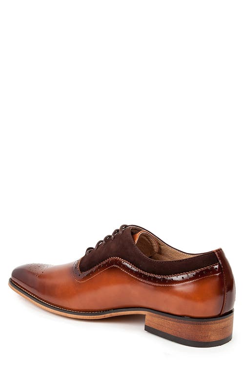 Gino Vitale Wingtip Oxford In Brown/brown