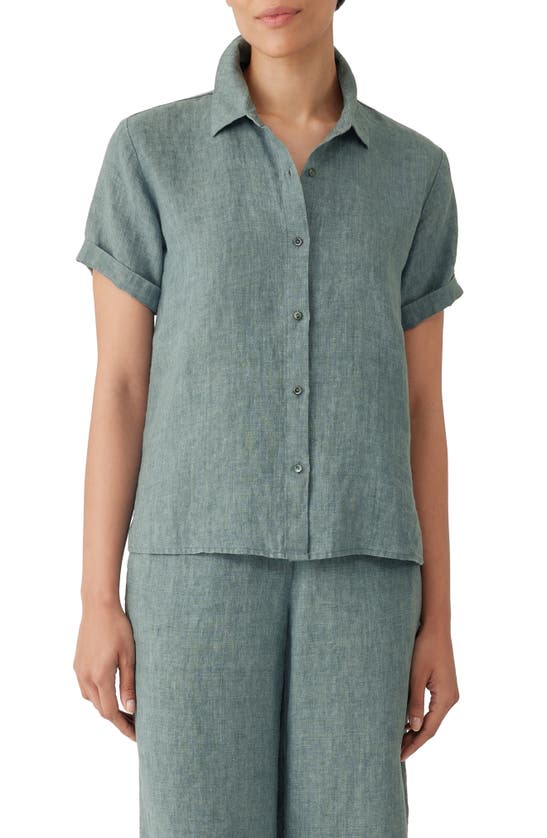 Eileen Fisher Classic Collar Organic Linen Button-up Shirt In Nile