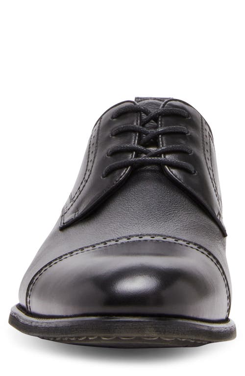 STEVE MADDEN STEVE MADDEN AALON CAP TOE DERBY 