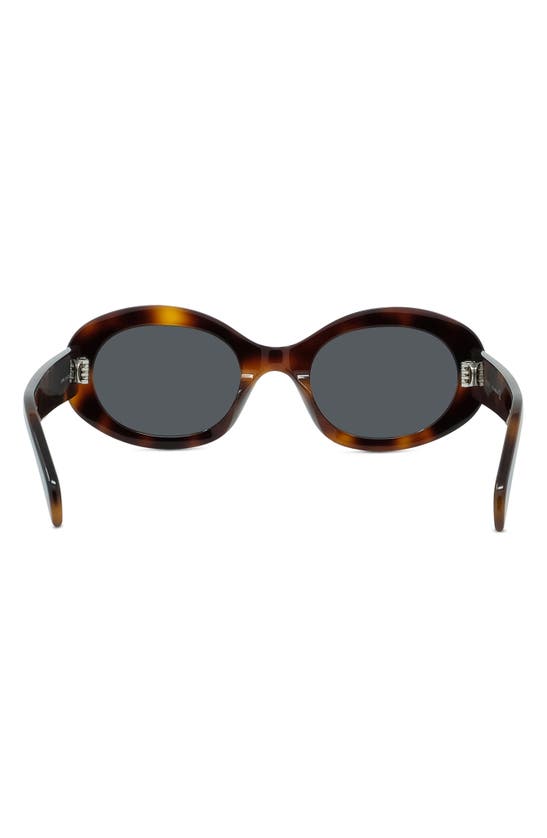 Shop Celine Triomphe 52mm Oval Sunglasses In Shiny Classic Havana/ Smoke