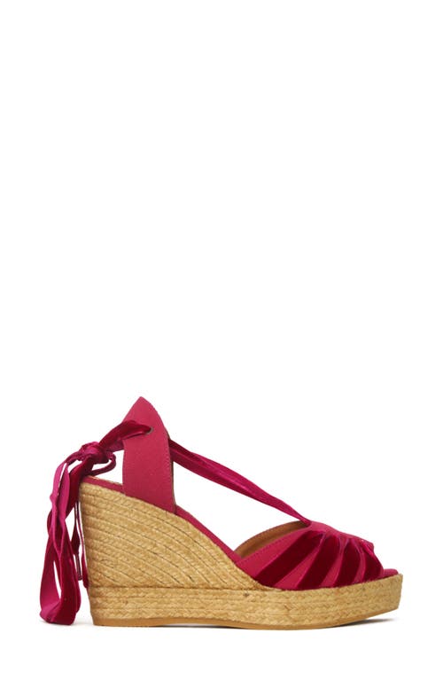 Shop Penelope Chilvers Catalina Dali Espadrille Wedge In Cherry/cherry