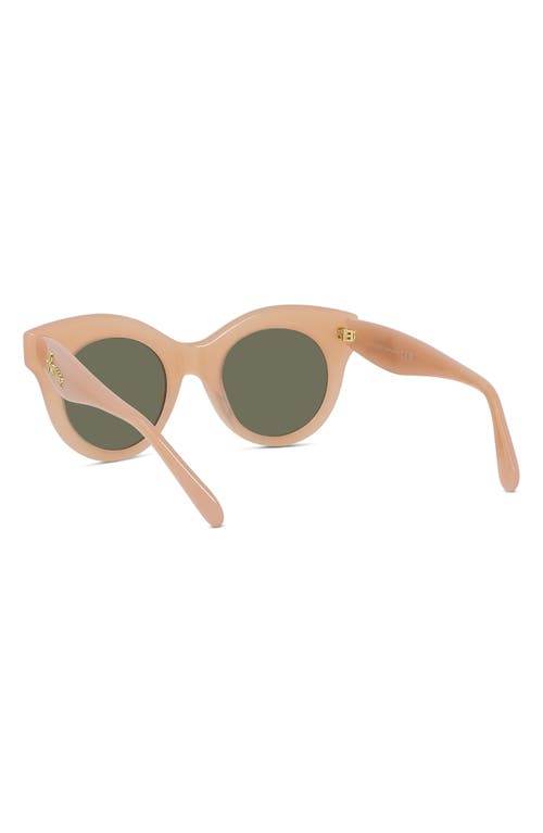 Shop Loewe Curvy 49mm Small Round Sunglasses In Shiny Pink/brown