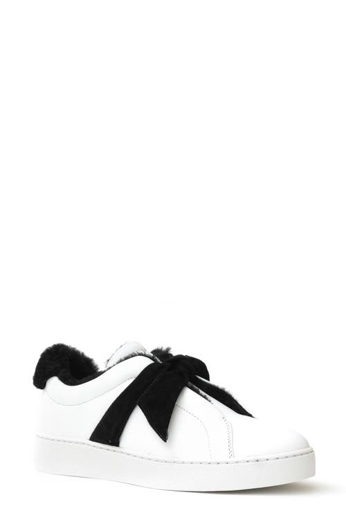 Alexandre Birman Clarita Bow Genuine Shearling Lined Trainer In White/black