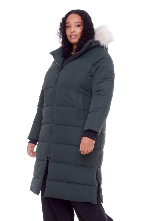 Shop Alpine North Kluane Plus Size In Green