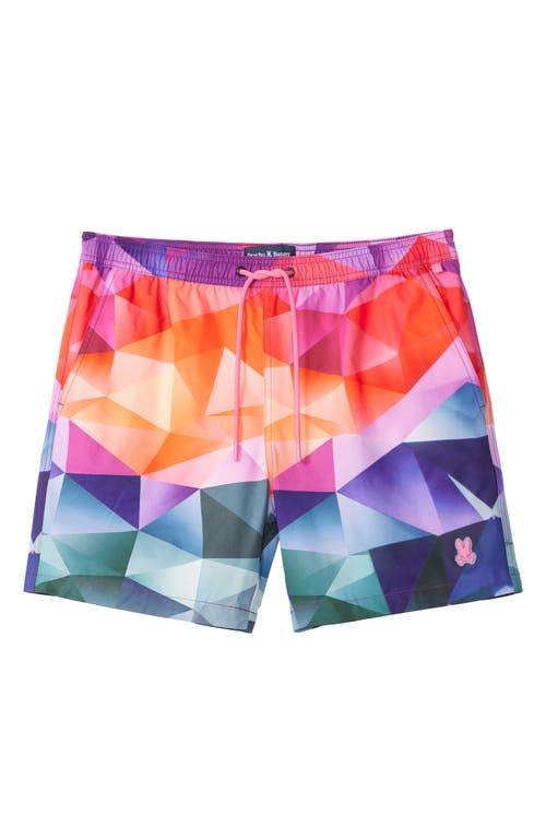 Shop Psycho Bunny Randolph Print Swim Trunks In Multi