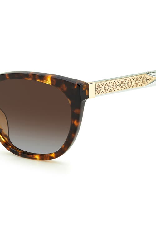 Kate Spade New York Phillipa 54mm Gradient Cat Eye Sunglasses In Havana/brown Sf Polar