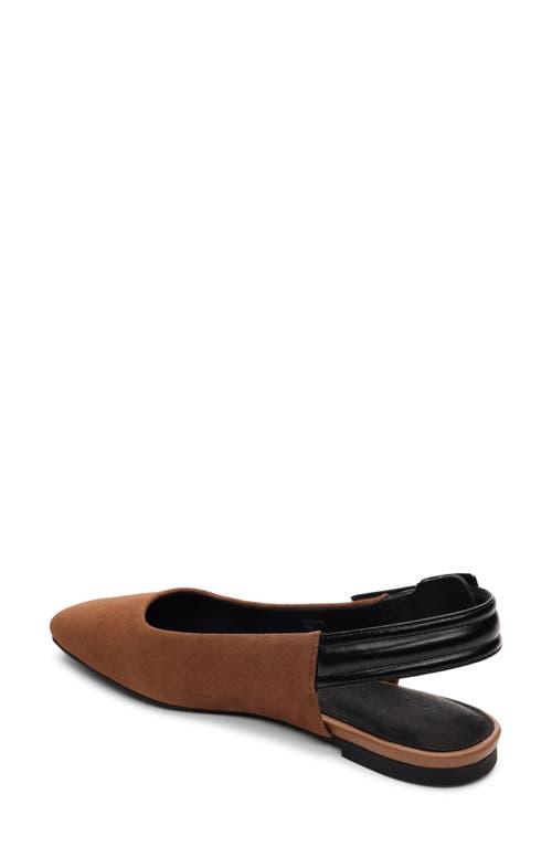 Shop Sanctuary Kitchy Slingback Flat In Bourbon/black